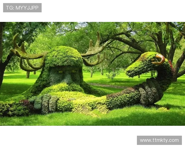 福彩开奖环保奖引领绿色公益新篇章