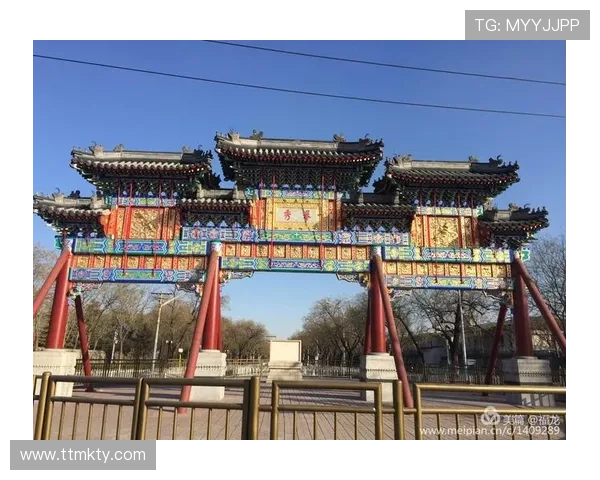 都市1直播：直击城市脉搏，见证真实瞬间